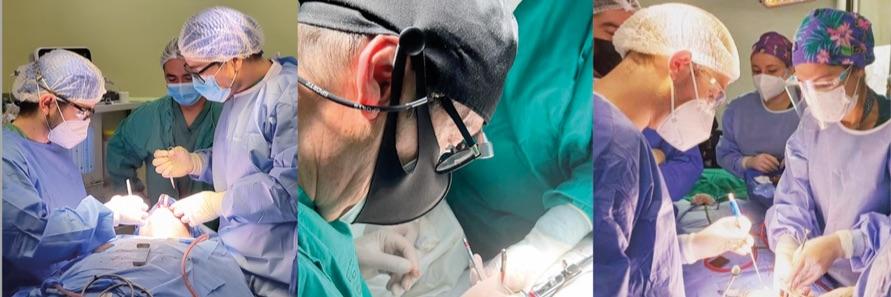Título de Profesional Especialista en Cirugía y Traumatología Bucal y Máxilo Facial