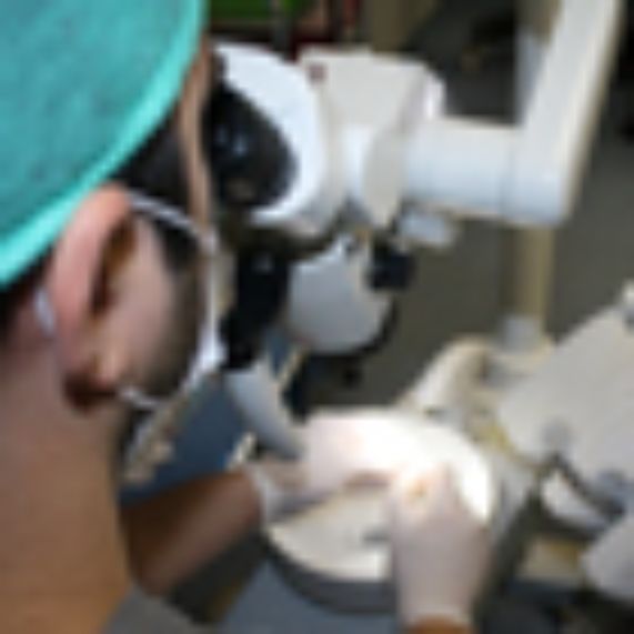 Estudiantes de Antofagasta ejercitan con microscopio clínico de última generación