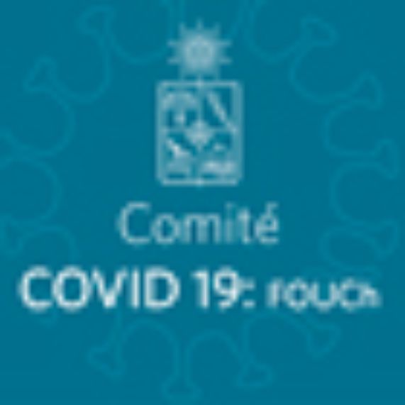 La trayectoria del Comité Operativo COVID-19 en el 2020