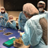 Exitoso Curso Manejo de Animales de Laboratorio