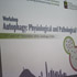 Workshop Autophagy: Physiology and Pathological Roles en U. de Chile